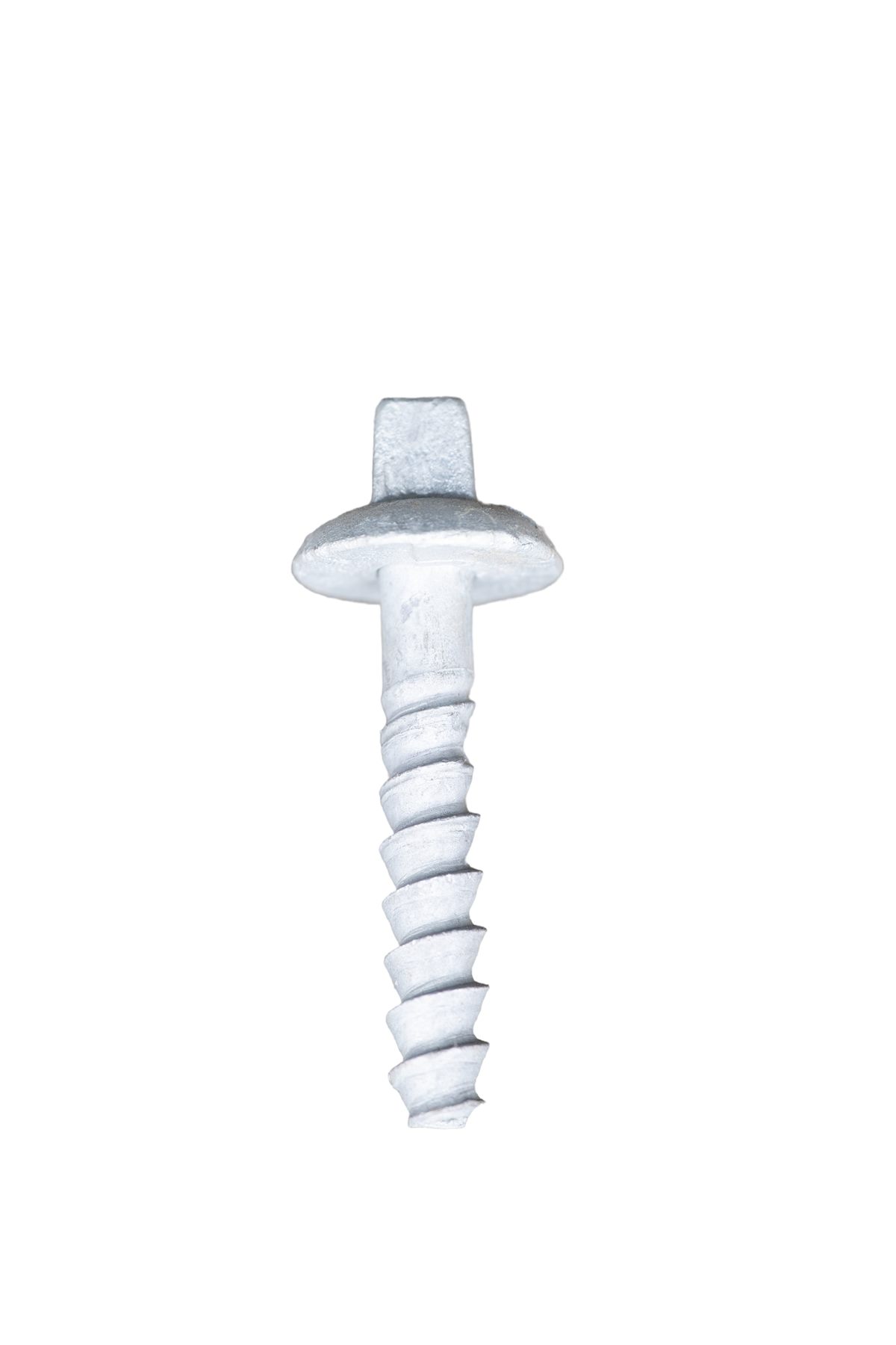 Coach Screws