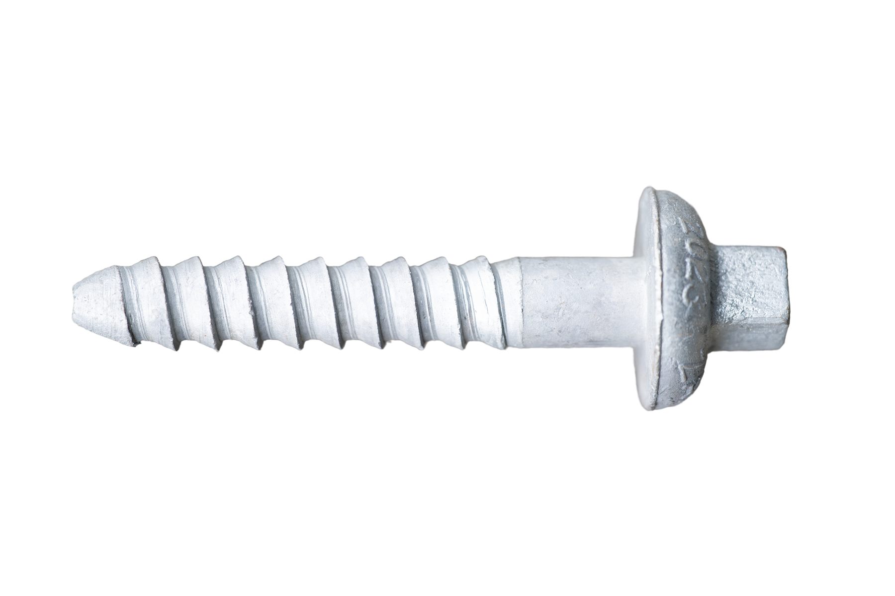 Coach Screws - Image 3