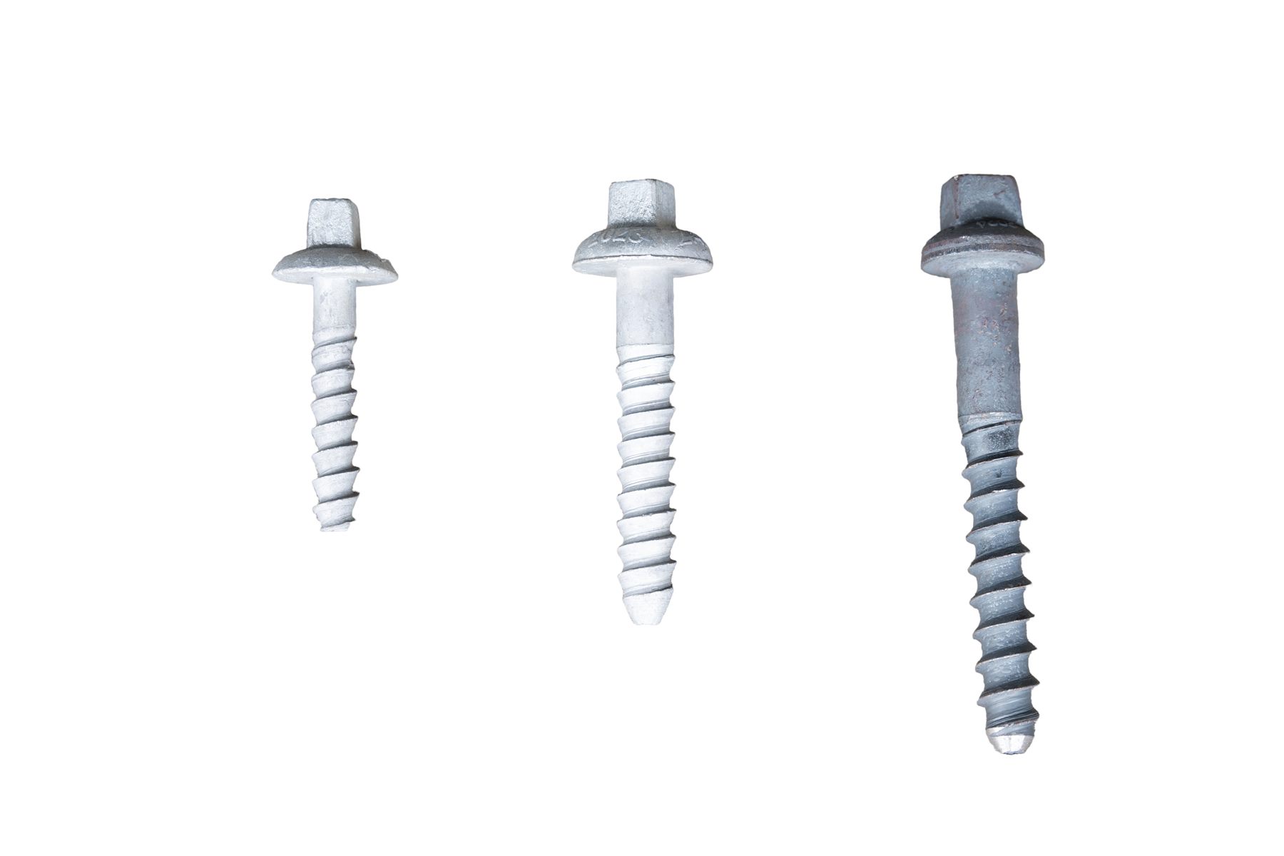 Coach Screws - Image 6