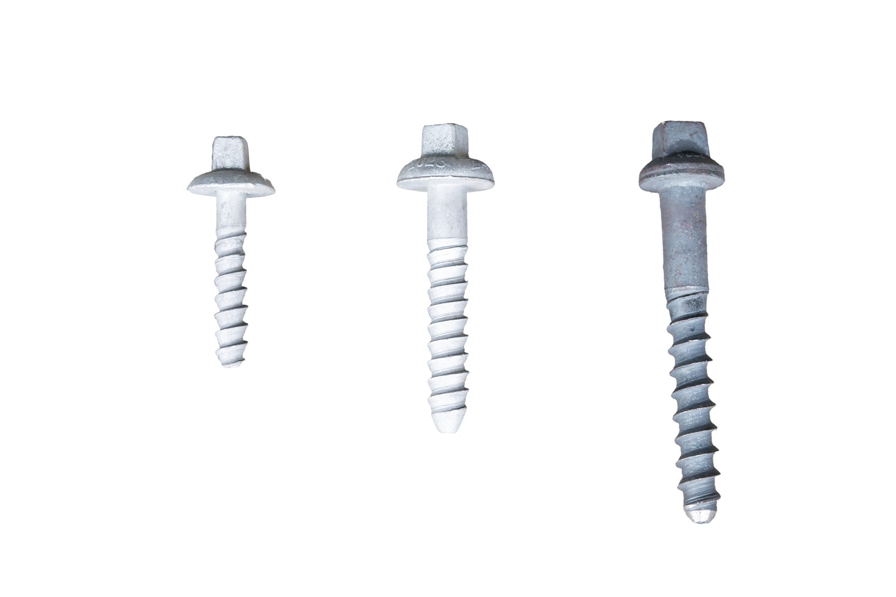Coach Screws - Image 7